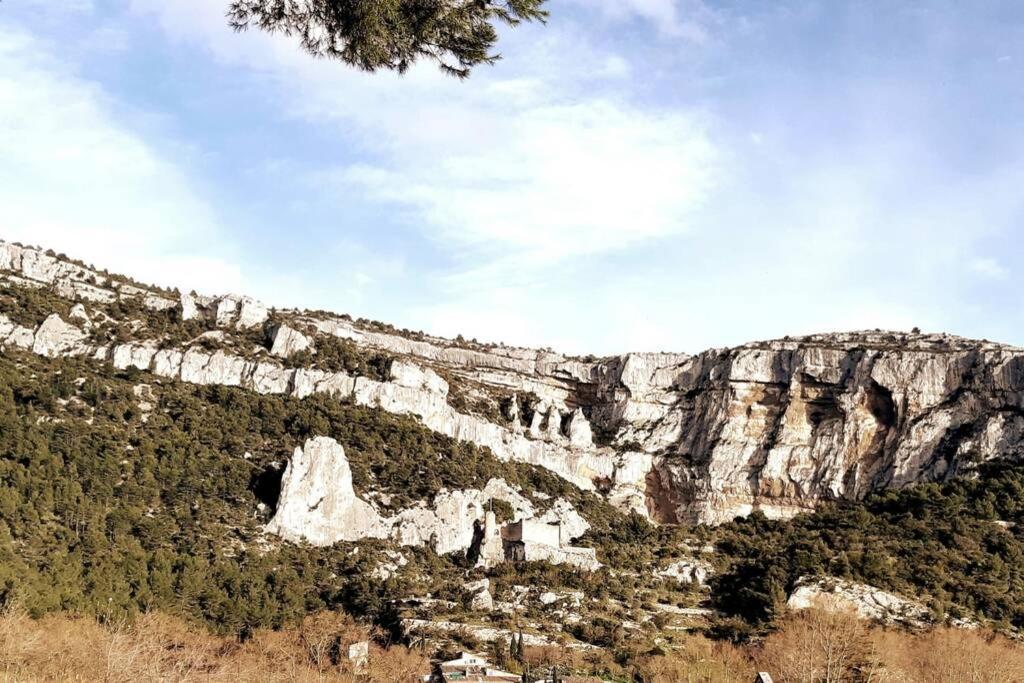 Vue Panoramique Sur Le Chateau,Montagne Et Grottes Фонтен-де-Воклюз Екстериор снимка