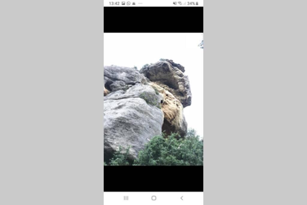Vue Panoramique Sur Le Chateau,Montagne Et Grottes Фонтен-де-Воклюз Екстериор снимка