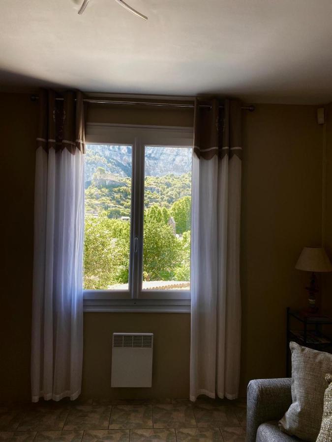 Vue Panoramique Sur Le Chateau,Montagne Et Grottes Фонтен-де-Воклюз Екстериор снимка