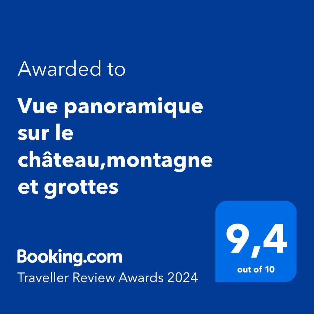 Vue Panoramique Sur Le Chateau,Montagne Et Grottes Фонтен-де-Воклюз Екстериор снимка